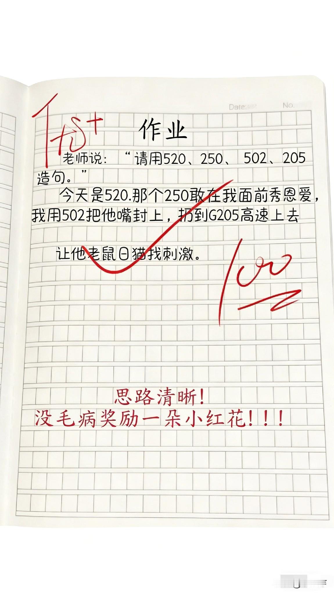 “思路清晰，没毛病！”🌸💯小学作文 作文 小学生经典作文 低年级的作文