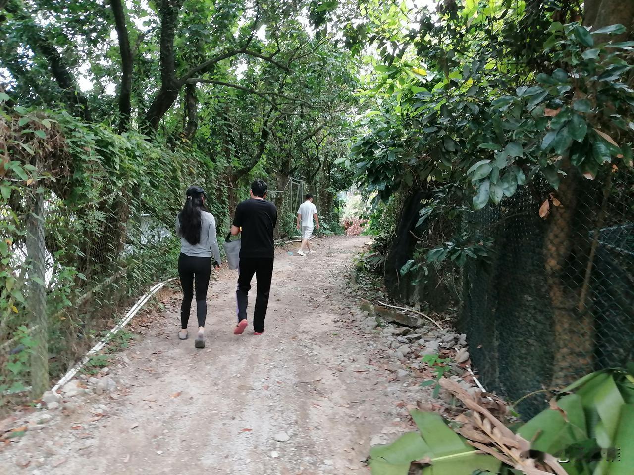 我下午直接去了院子那边，我没想到院子是在山根下面的，离十三号线百旺地铁站很近。