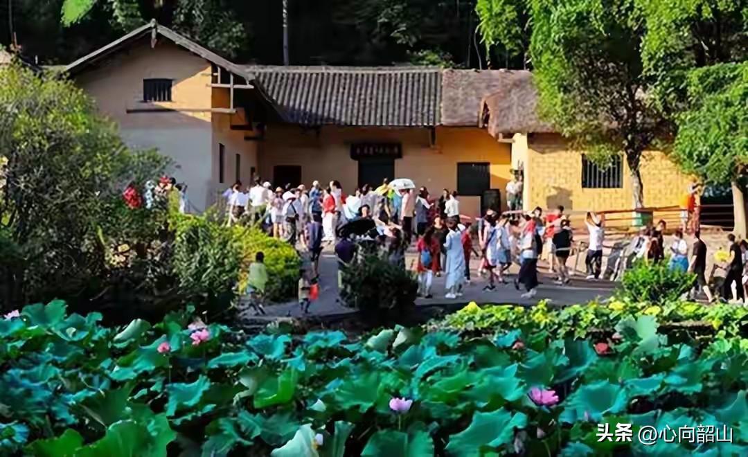 毛主席是“中国近代以来伟大的爱国者和民族英雄”，中国人民的伟大领袖，有良知的中国