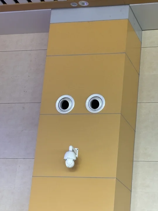 想收集大家随手拍的脸