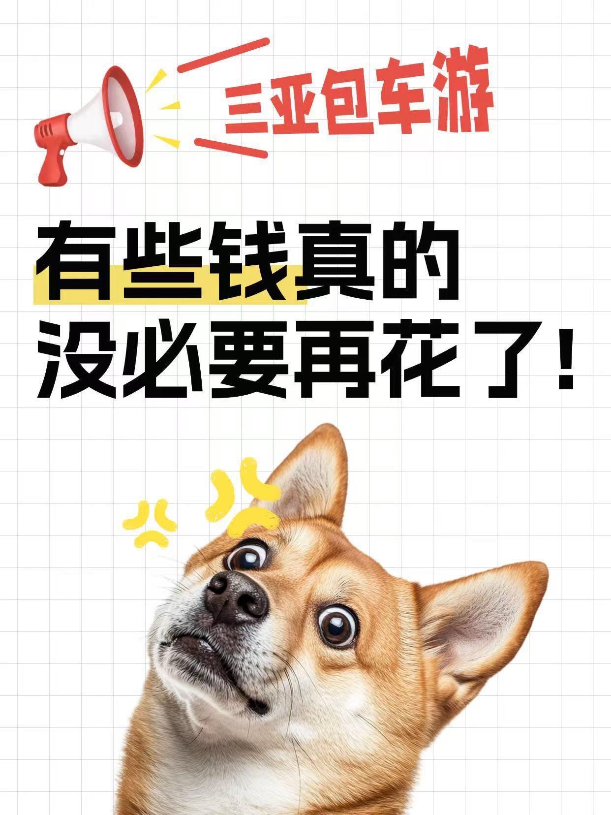 听我的😢来三亚❕有的钱没必要乱花……很多朋友去三亚玩都搞不清楚，到底...