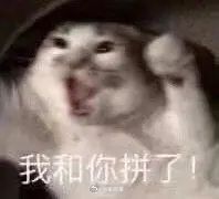 凭什么改干将啊？为什么啊？！改来改去一个英雄好玩吗？我从最早的丢老婆就开始玩了！