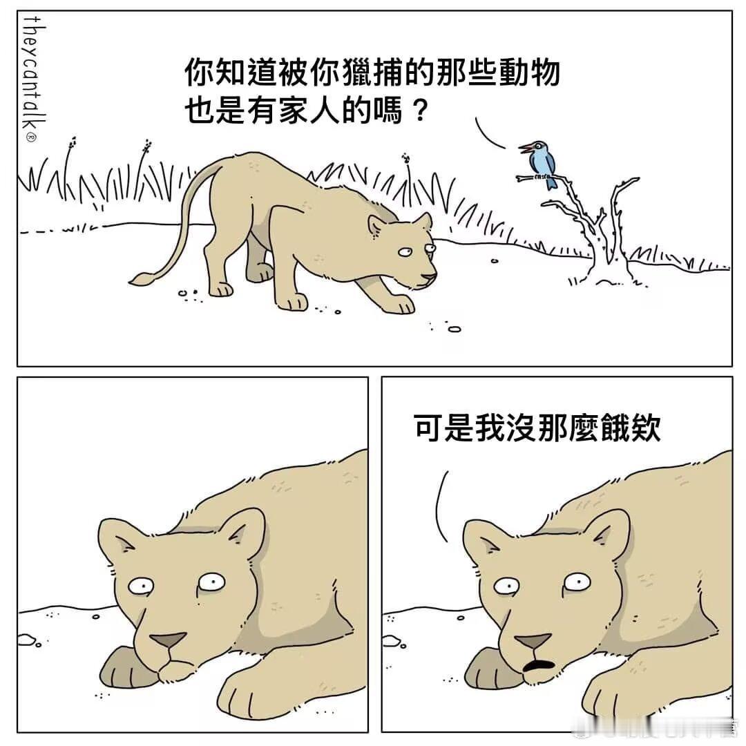 很老狮 ​​​