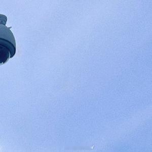 情感语录 别急着去追一匹马，用追马的时间种草。待到春暖花开时，能吸引一批骏马来供