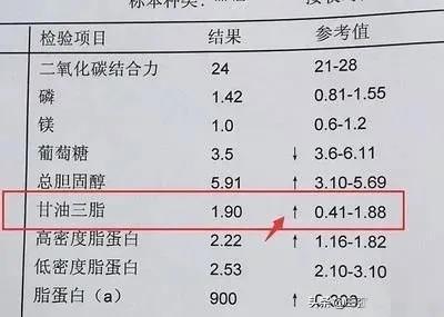 **血脂健康的四大关键指标**

血脂健康与我们的心血管健康息息相关。了解血脂的