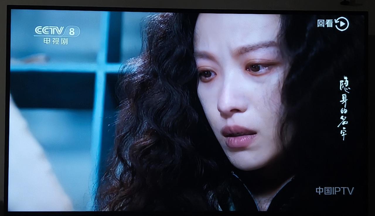 《隐身的名字》柏庶和任小名共同写日记这件事就很扯，这件事放在读高中的时候还说得过