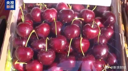 【车厘子价格跳水了】继11月份空运车厘子登陆市场后，12月初，海运车厘子也大量到