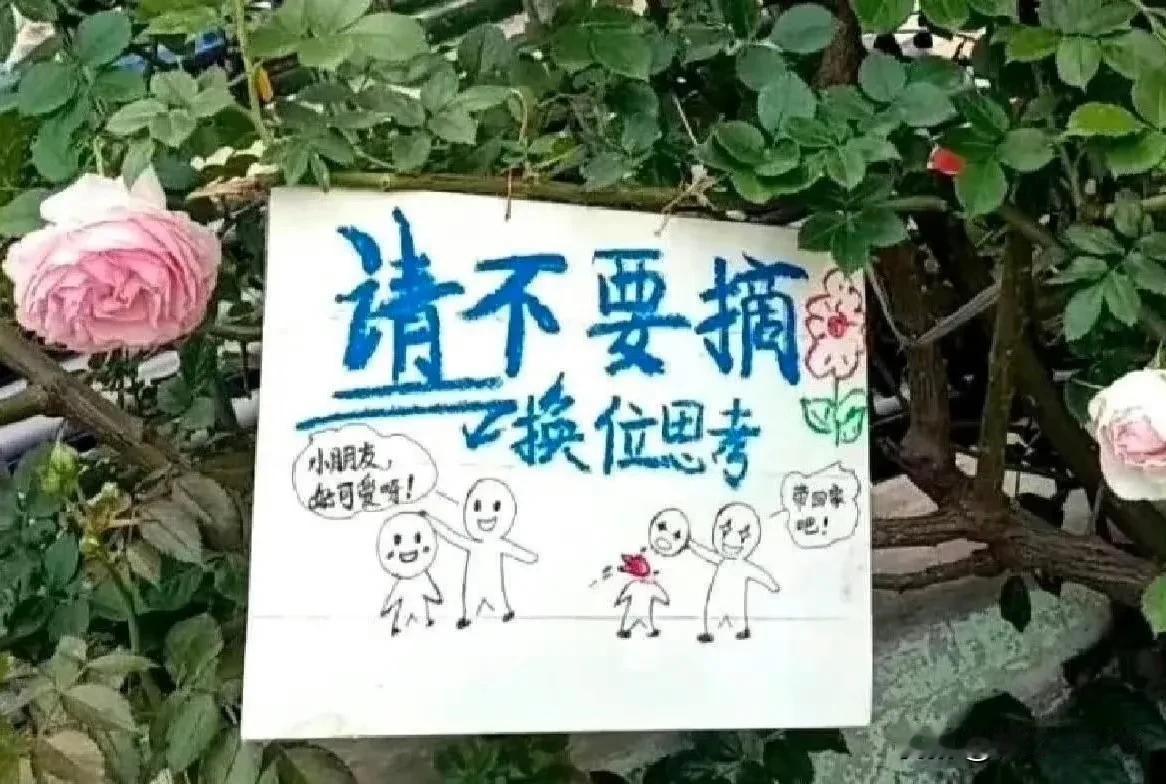 这应该是我见过的，最有杀伤力的警示牌了