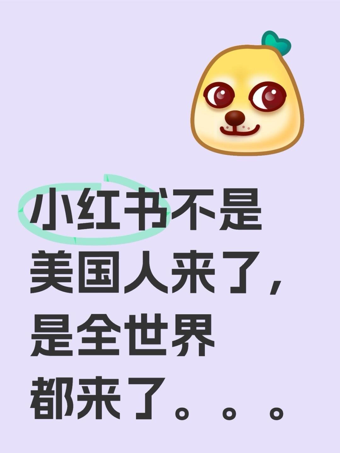 🆘 外国人也爱跟风吗？小红书登顶了几十个国家下载榜第一 