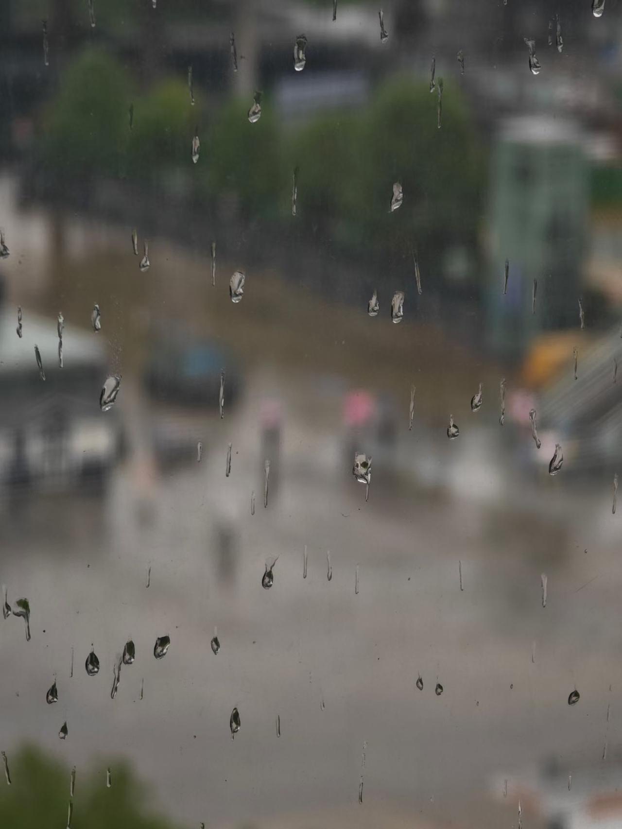成都市从昨天晚上开始，淅淅沥沥的下了一夜的雨。感觉十分的凉爽和惬意呀。今天成都的