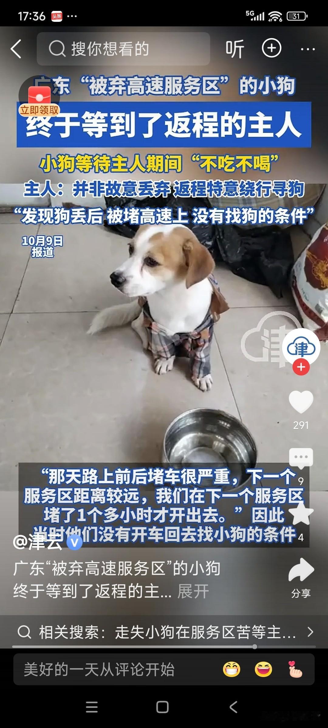 1日到8日，小狗“小包子”就这样眼巴巴，在高速服务区苦等7天，主人游玩一圈回来，