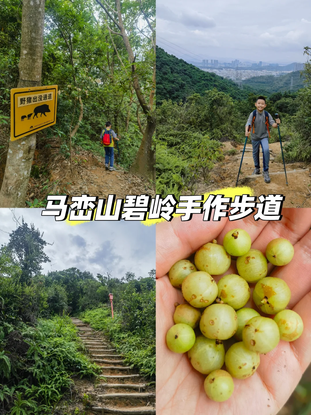 看完马峦山瀑布，建议用1h走手作步道！