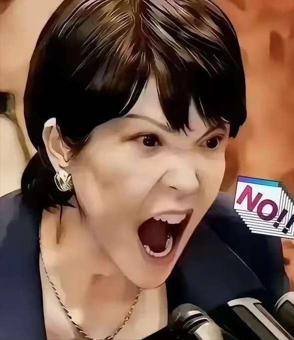 日本首相高市早苗计划在5月上旬对外进行一次小型的外交行程，包括越南、澳大利亚都会