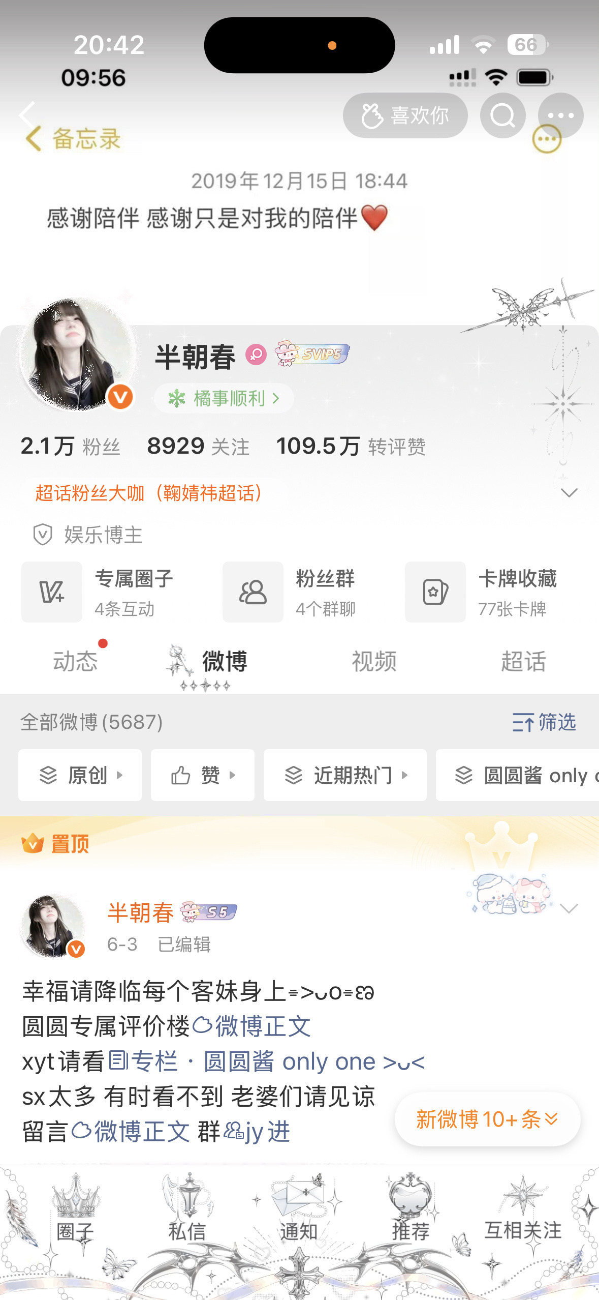 晚上好 来动 