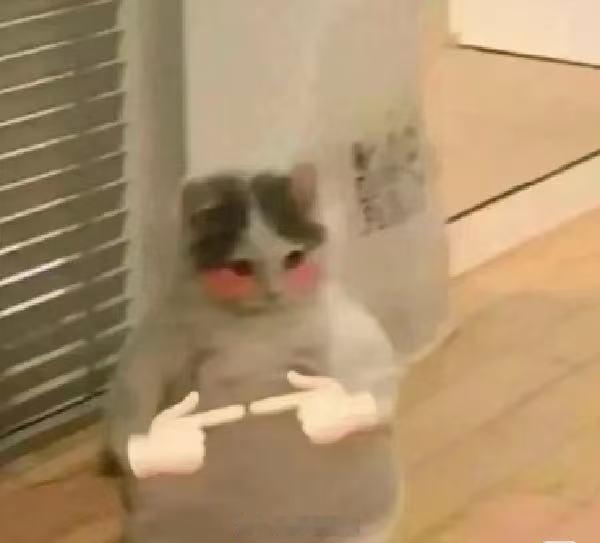 我的做法是很爱你但不在乎你 通透有洒脱的生活方式嘛？早安呀各位 新的一周又又又开