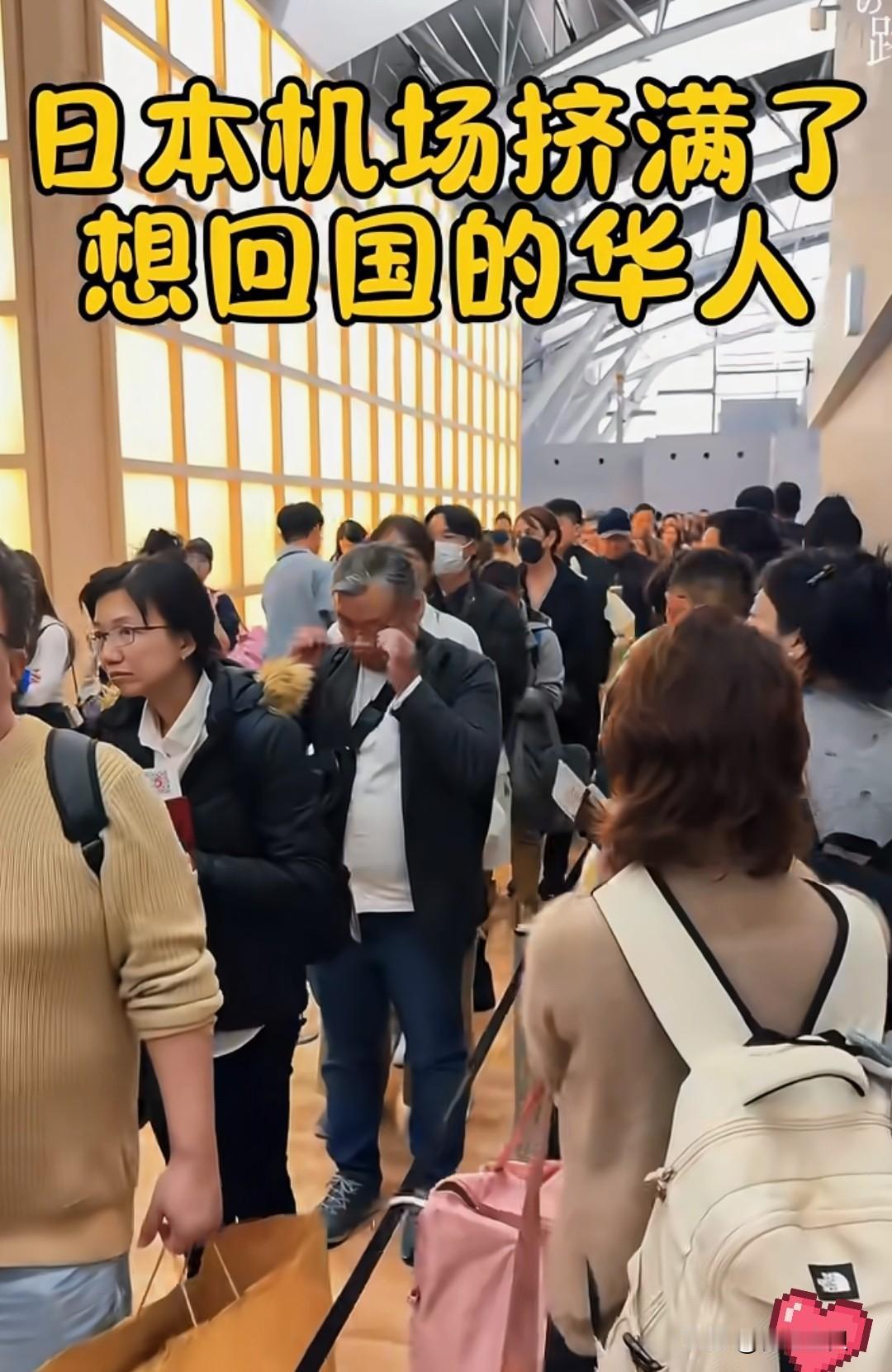 华人回流潮引发关注，有人好奇：为什么在华日本人不跟风回流？日本学校也没撤？其实答