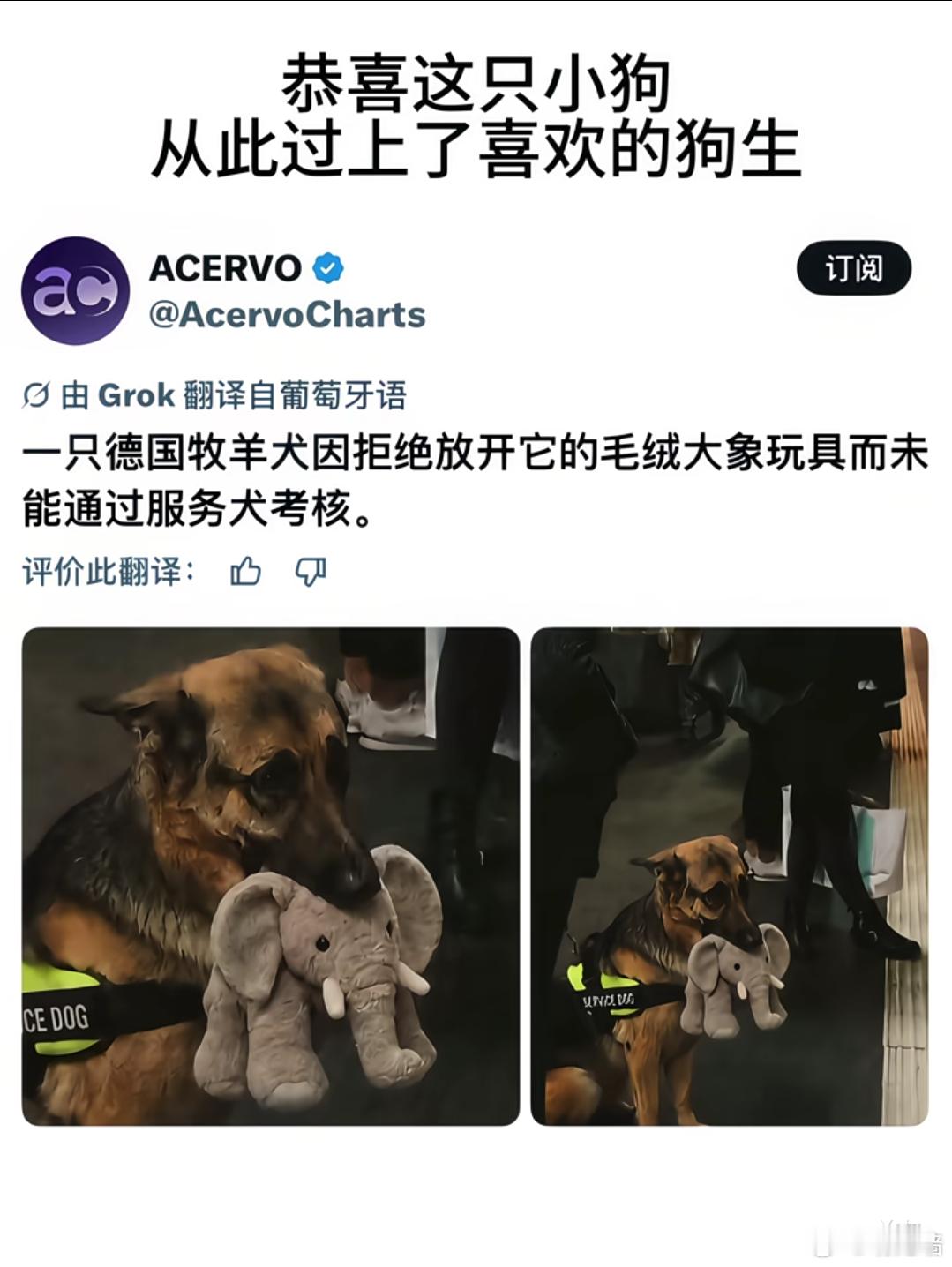 大师我悟了，只需要抓紧自己喜欢的东西不放，就能避免踏上符合他人期待但不如本愿的人
