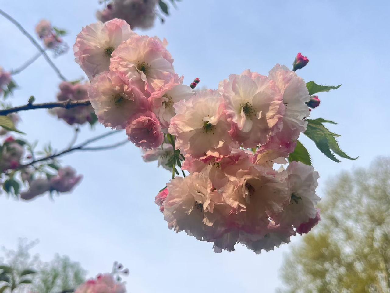 生活从不亏待努力的人，今天的每一份付出，都是未来幸运的伏笔。 
 
别怕路远，每