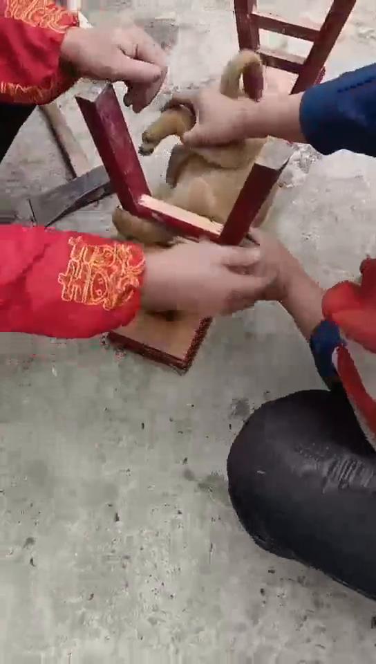 波妞，把你弄出来。他又拔了。你觉得那个怎么？哥花花。我把自己举断起来。