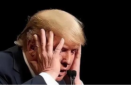 美国人后悔了，短短十几天的时间，美国对华出口生意基本被别国瓜分了。中国已经不买美