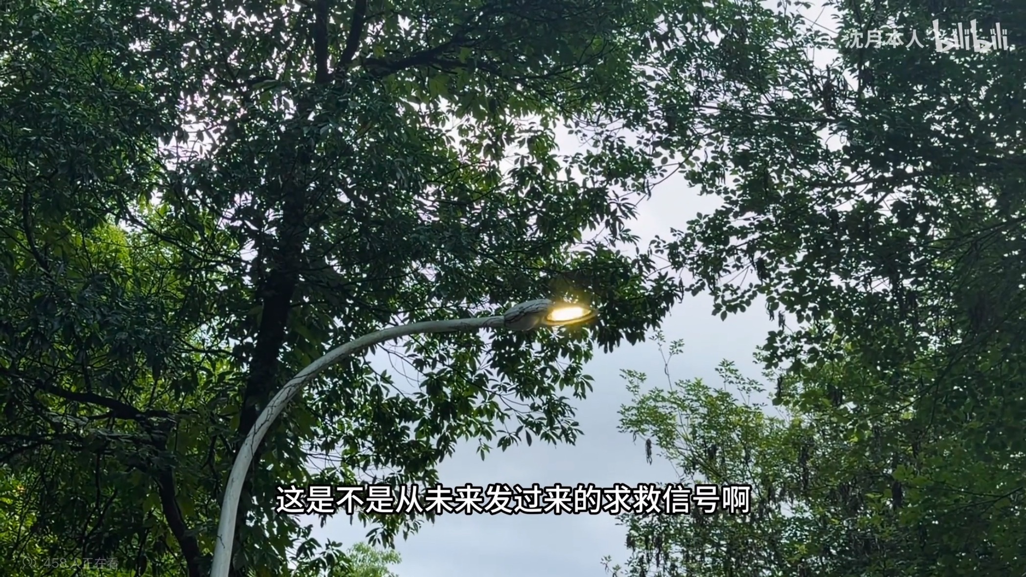 小慧是你吗 小慧沈月群星闪耀时