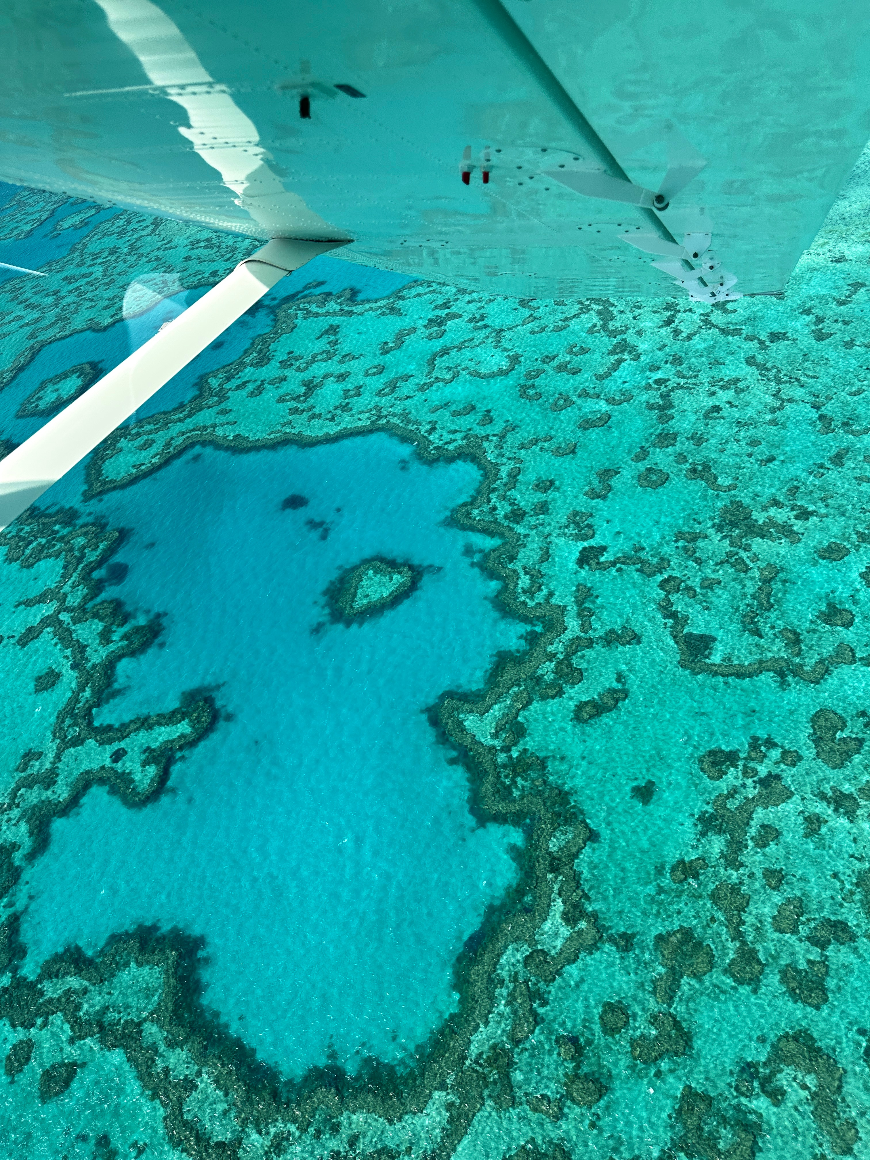 🌊October in Whitsundays  ​​​