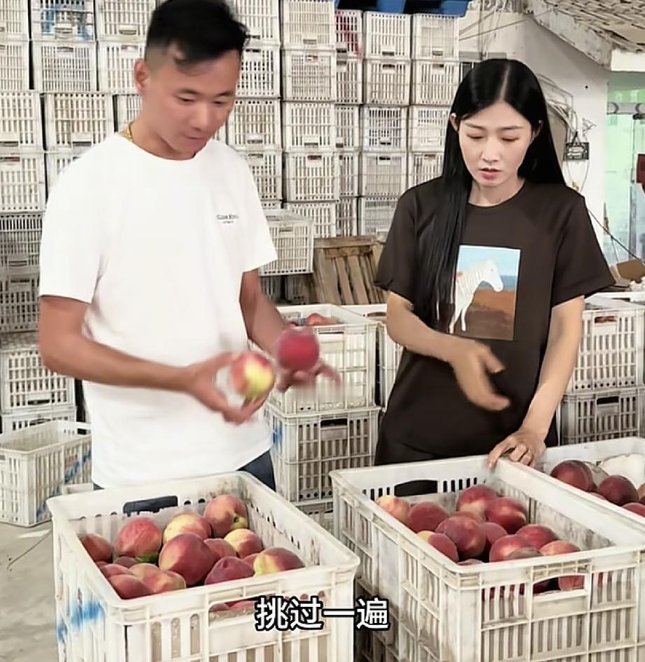 都说厉怀远卖的桃子贵，但是看了他筛选桃子的过程以及核算成本才觉得值得那个价格
今