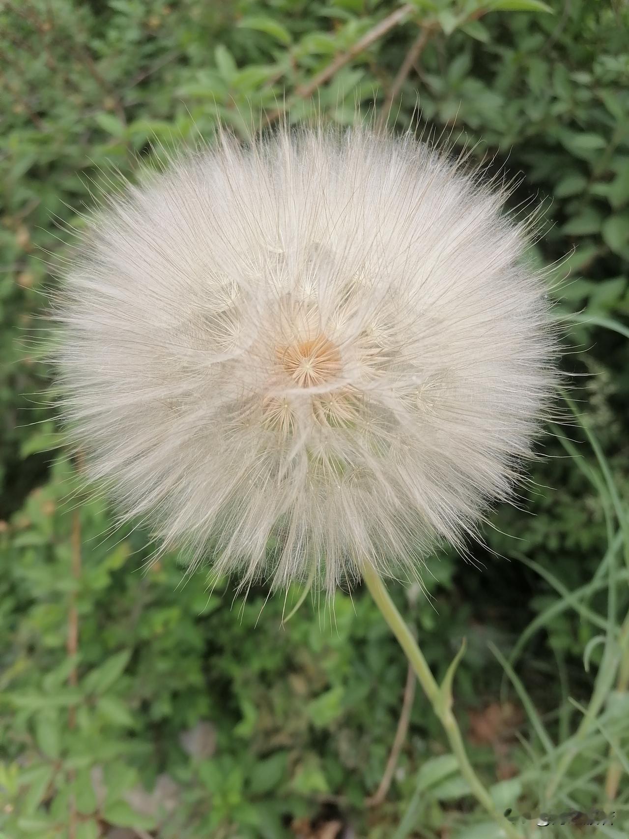 卷个大煎饼吃，一吃就多了，啥都往里放，一口下去实在是香。

要说论吃，还得是中国