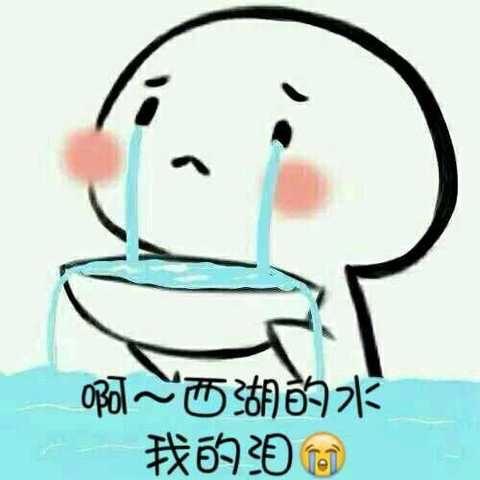 凌晨5点16分，西湖孤山路32号附近：一辆苏E黑色新能源MPV，从人行道一路沿湖