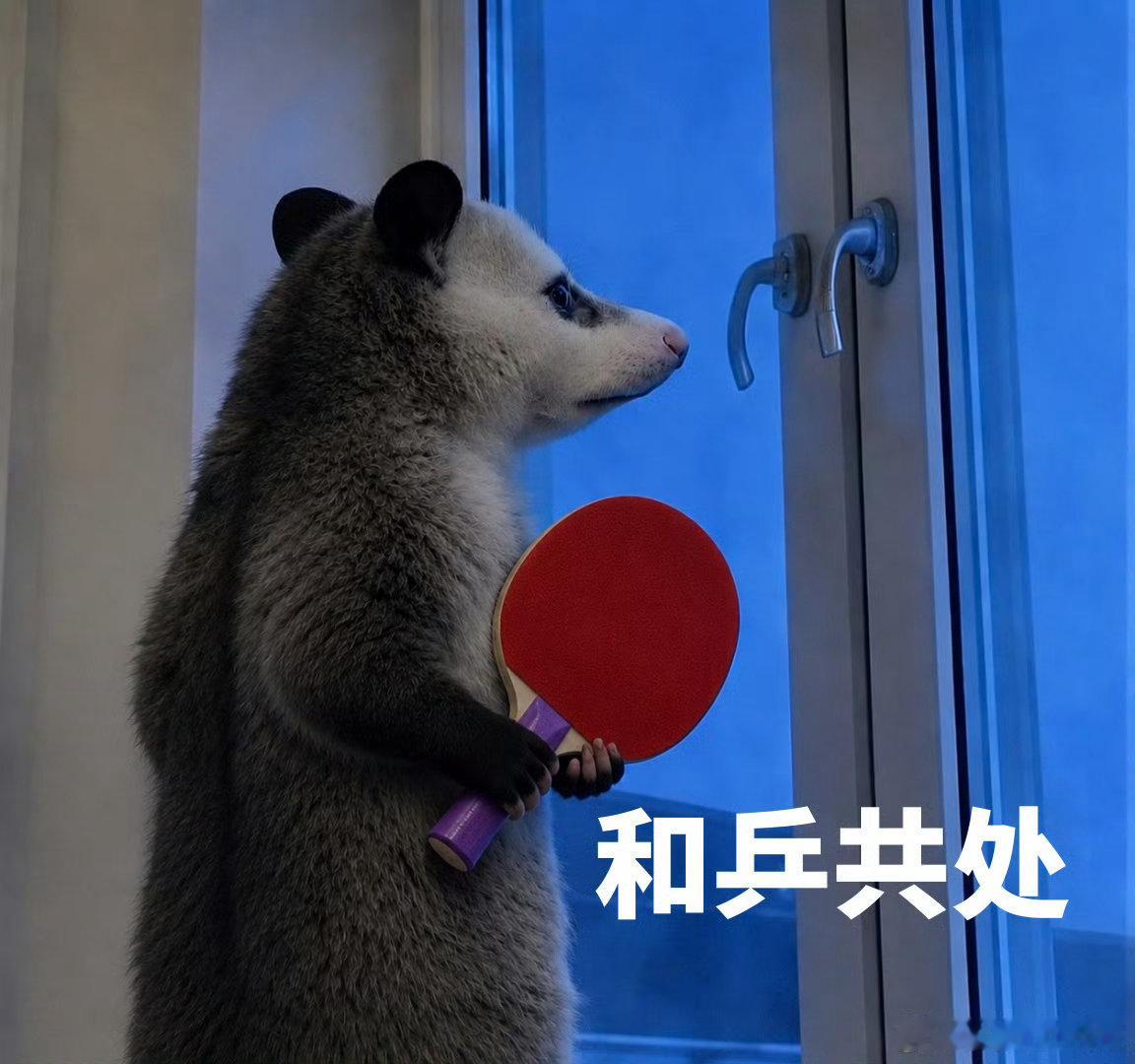 陈梦cos负鼠表情包陈梦cos负鼠表情包应援山东乒超 山东乒超有陈梦真的赢麻了！