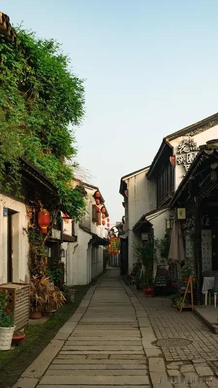 今年春天最想实现的心愿 今年春天，我最想实现的心愿就是去一趟江南古镇。想象着漫步