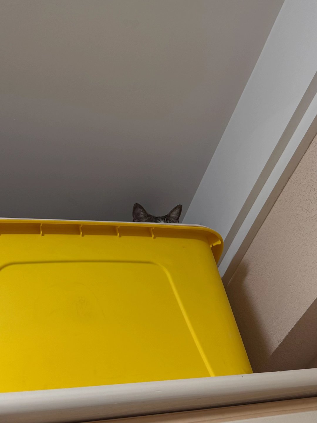 签到咯周末愉快！           