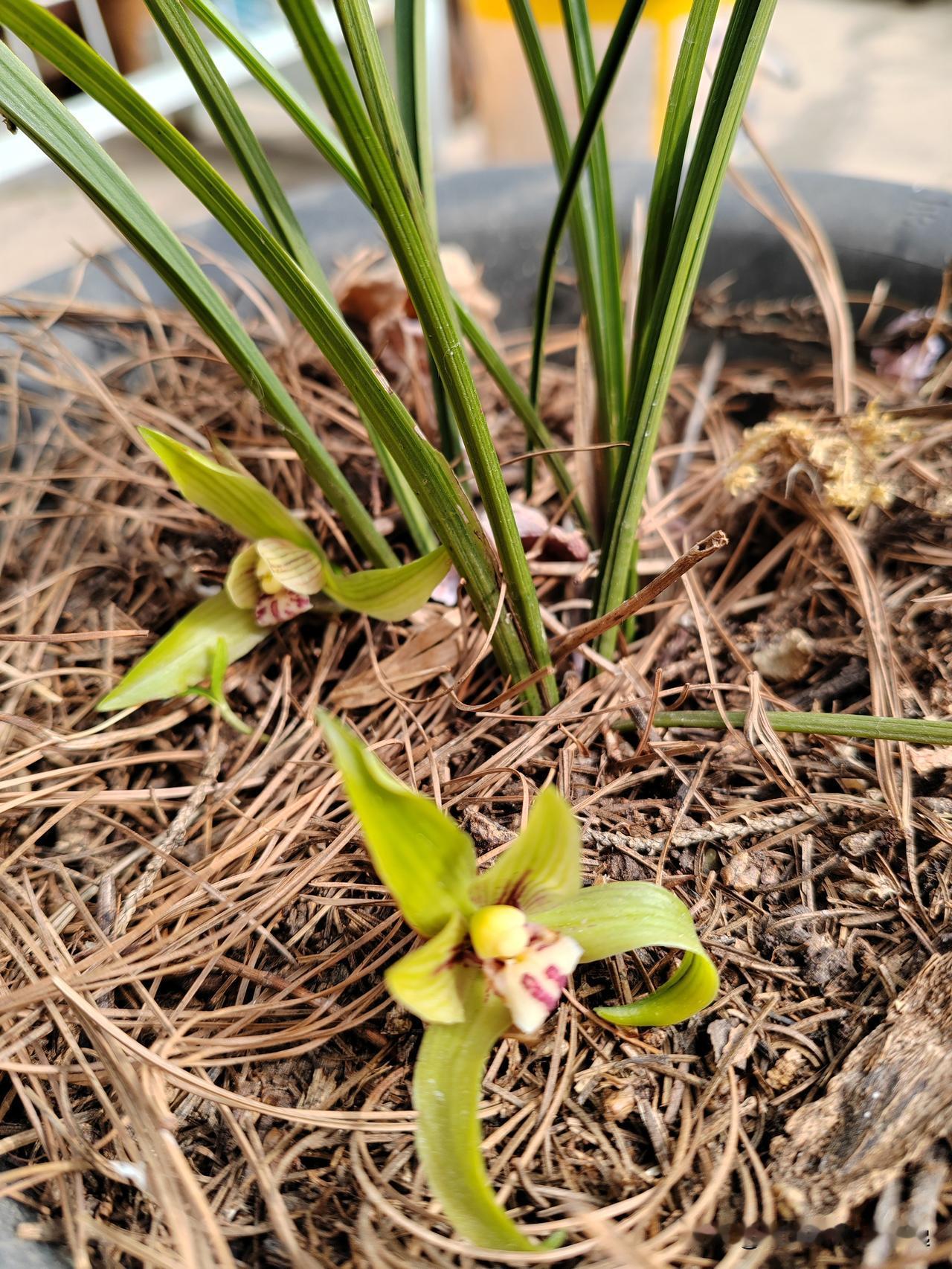 信仰是人生的灯塔；
功修是人品的基石；
善行是美德的印证；
敬畏是信仰的回响！