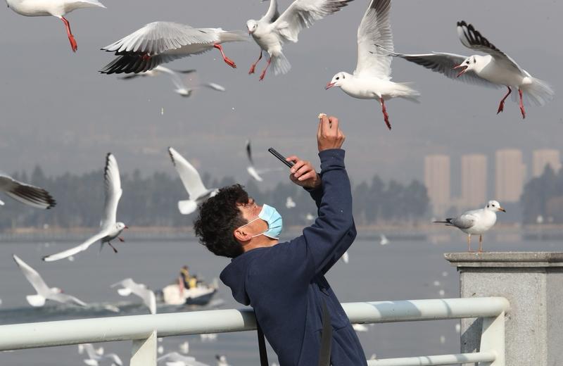 今年春节，昆明海埂大坝成了“顶流”，那场面真是“人比海鸥还多”。从初一到初五，人