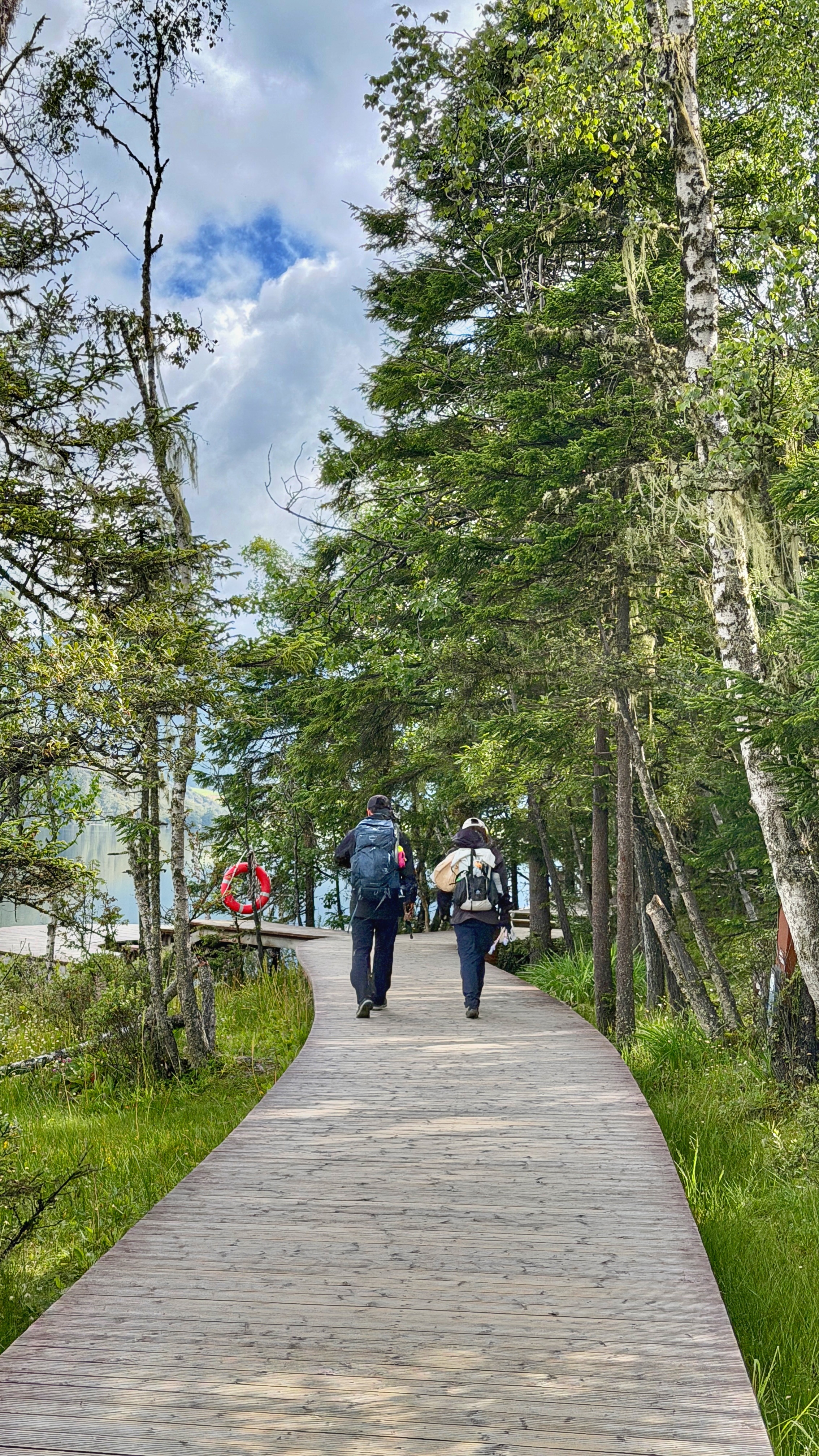 阴晴不定的香格里拉，16度的八月，清晨的普达措森林公园，特别凉快，特别爽，漫步其