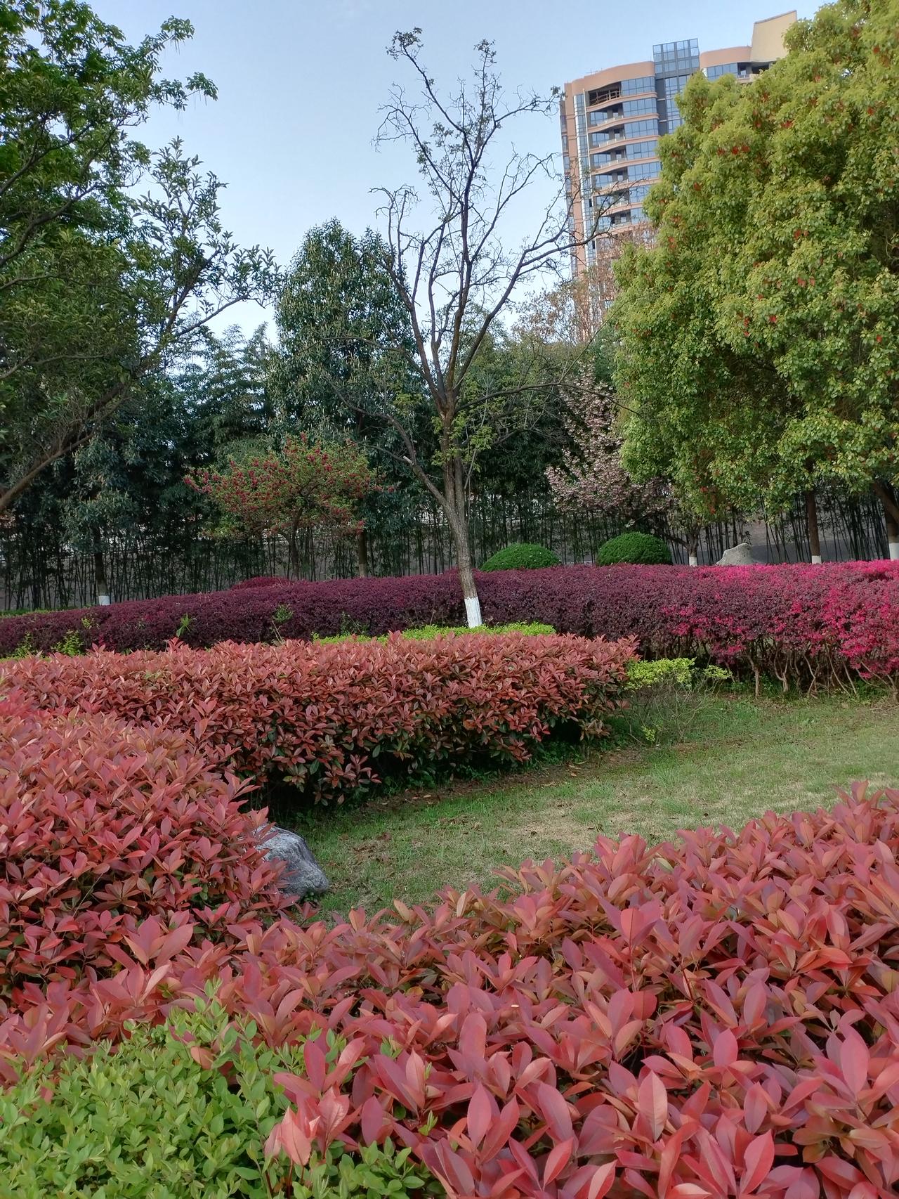 春日生活打卡季来啦！🌸🌼

不妨试试这些春日小活动：

去公园赏花，感受春天
