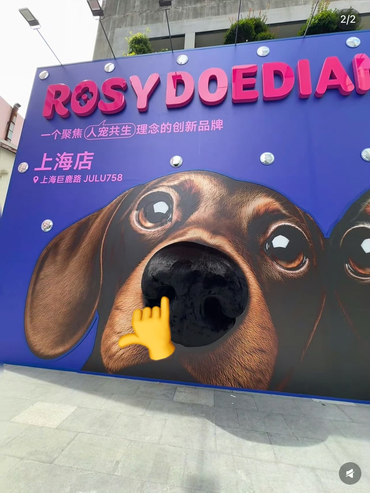 云抠鼻 