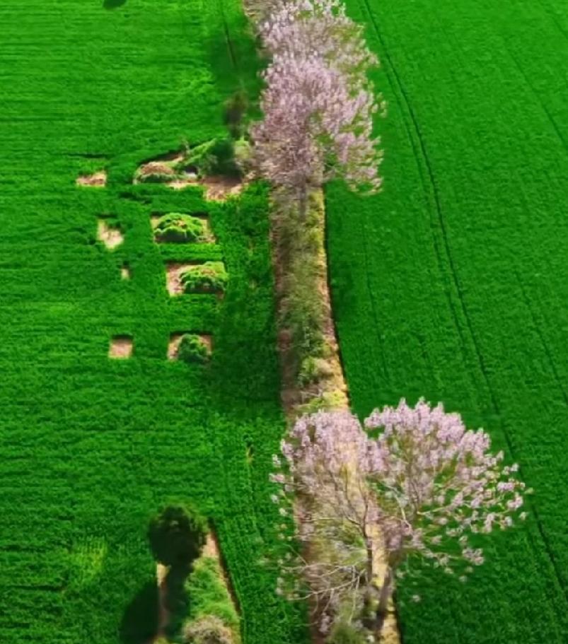 定陶区半堤镇盐场 
位于半堤集北1.3公里。耕地610亩，人口217。据《周氏族