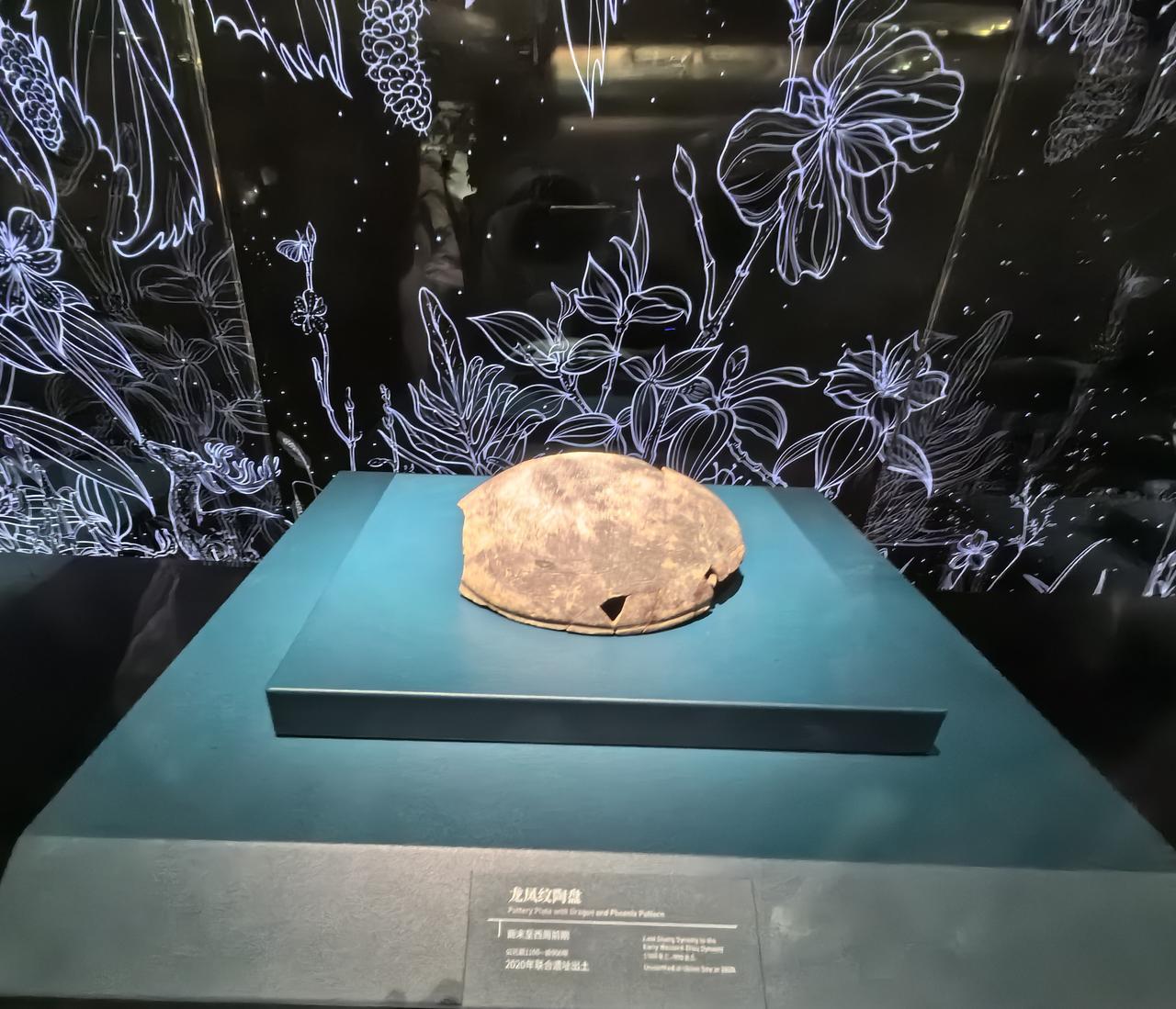 驻足展厅，一件件远古器物静静陈列。造型别致的鸟头陶勺，带着先民生活的温度；温润的