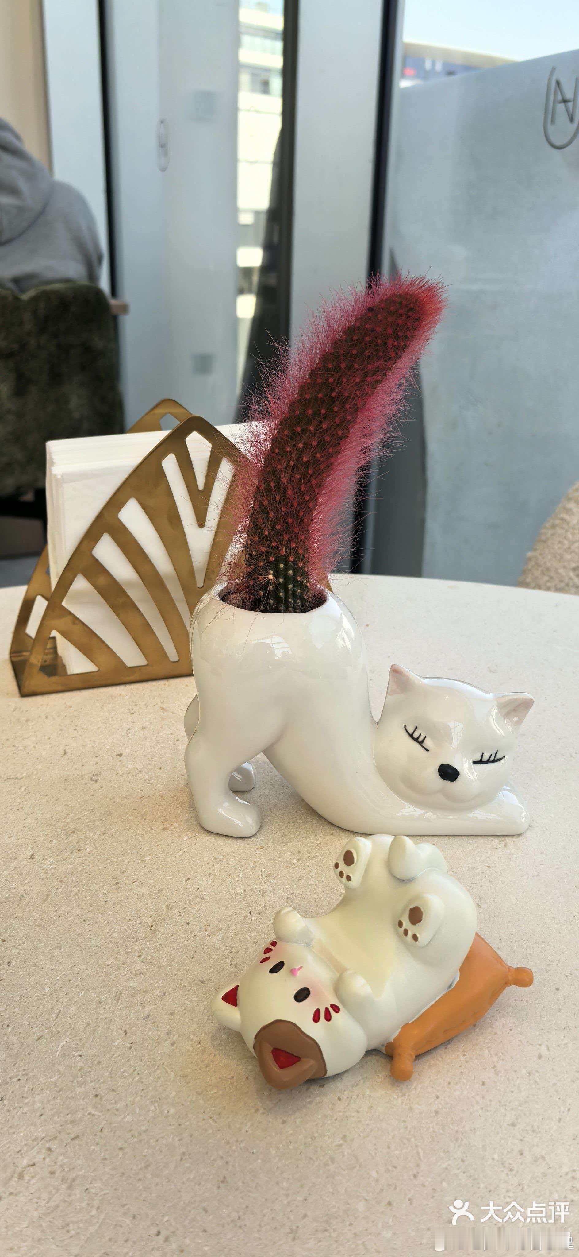 你这玩意正经吗