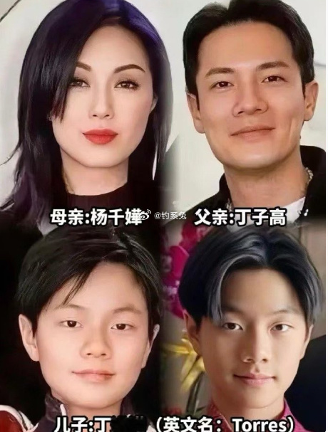 杨千嬅13岁儿子近照，跟丁生像到ai换脸都看不出来的程度 