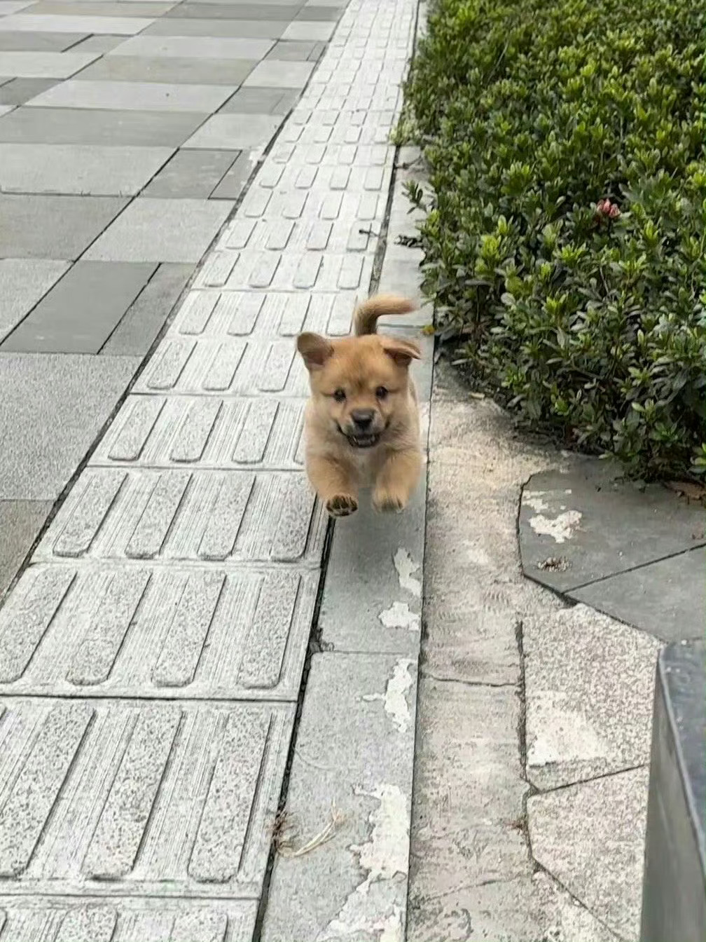 狗子：让你拍了吗？你就拍