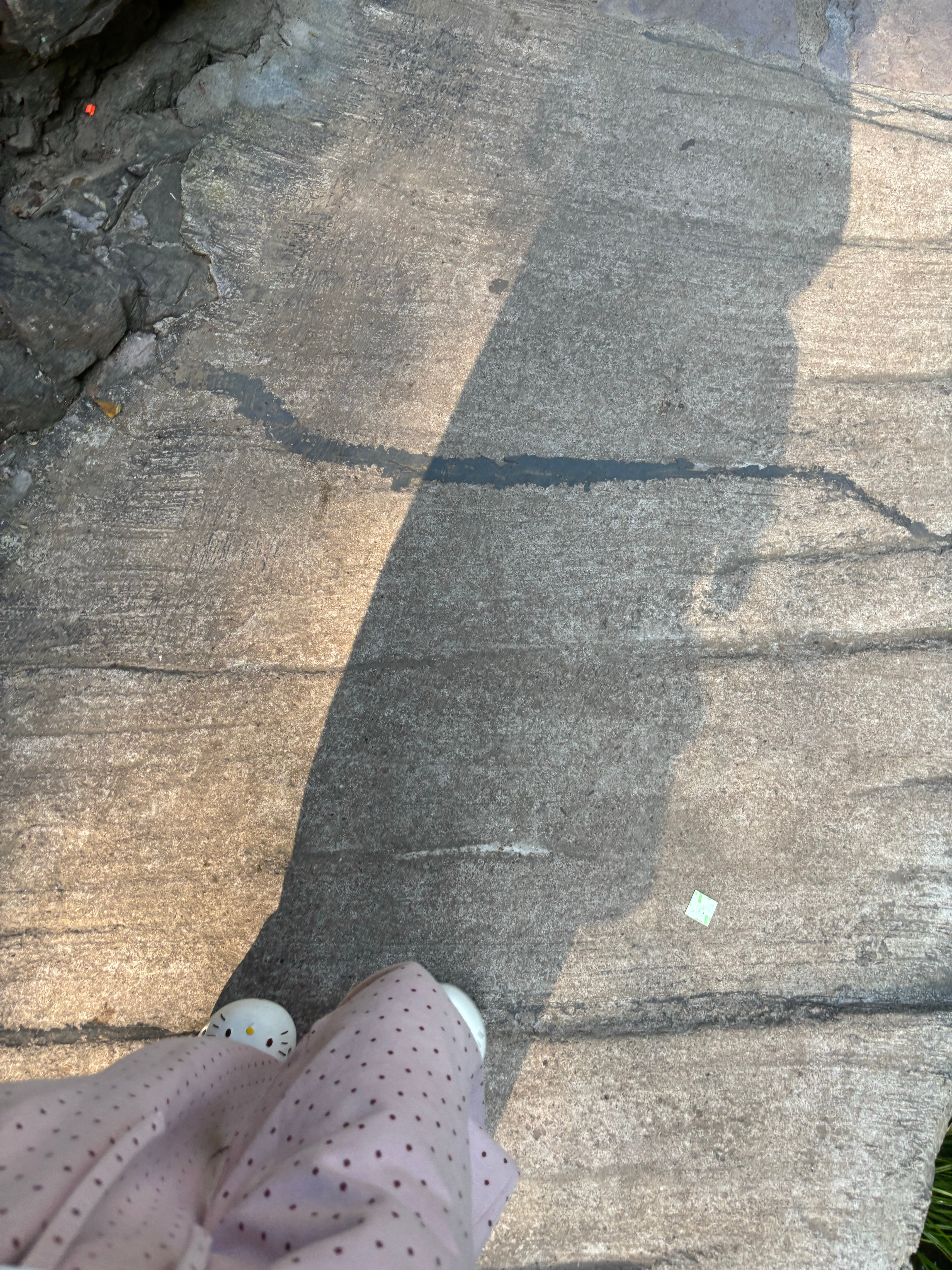 总要来爬一次山吧，感受专属山野的浪漫。这样才会知道躺在家里手机有多好玩。我好累啊