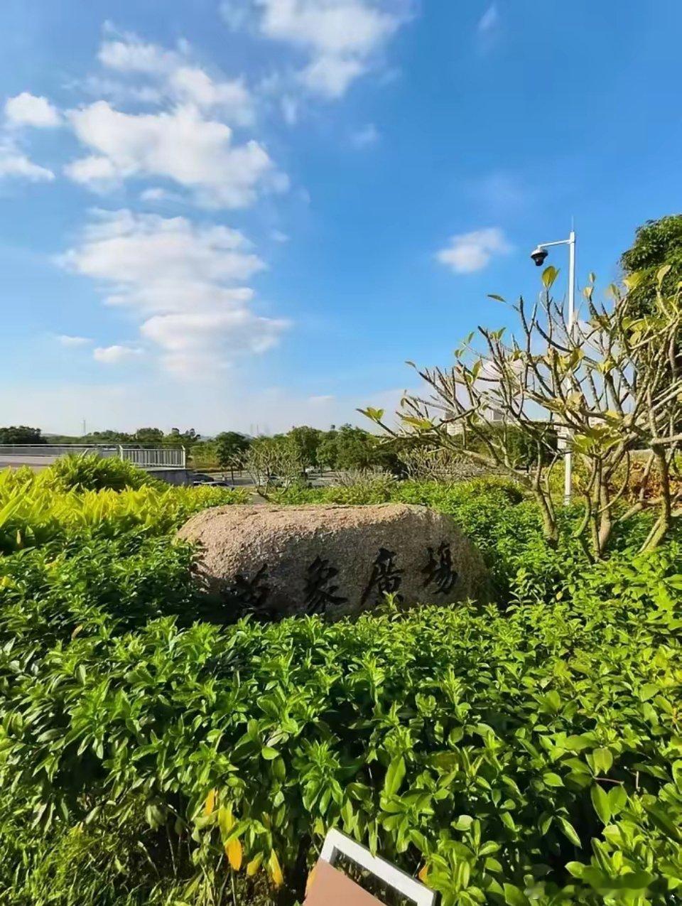 呈上一组样张，大家来猜猜看哪个是蔡司 ViV0 拍的，哪个又是华为红枫 mate
