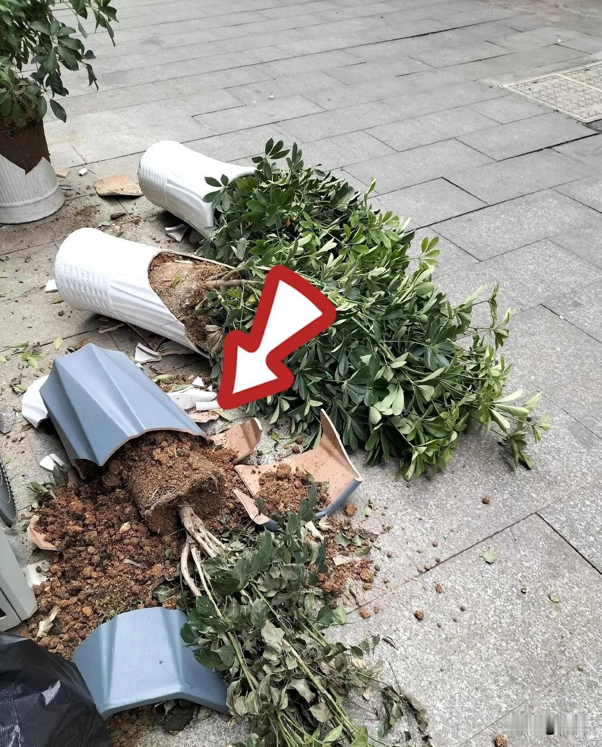人这一生真的太无常！再健康的身体，也抵不过命运的一瞬无常
 
越长大越能读懂一句