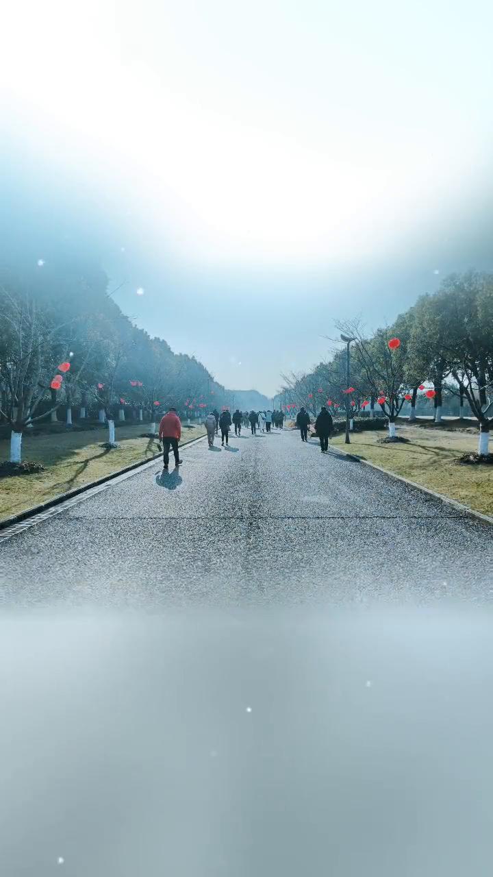 再有缘，