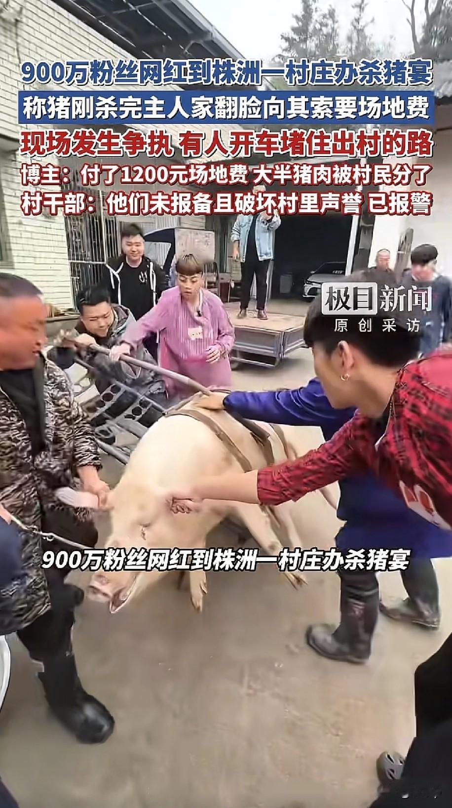 最近湖南一网红办杀猪宴翻车了
他花3200多买了一头猪
想着免费让村里的老人吃，