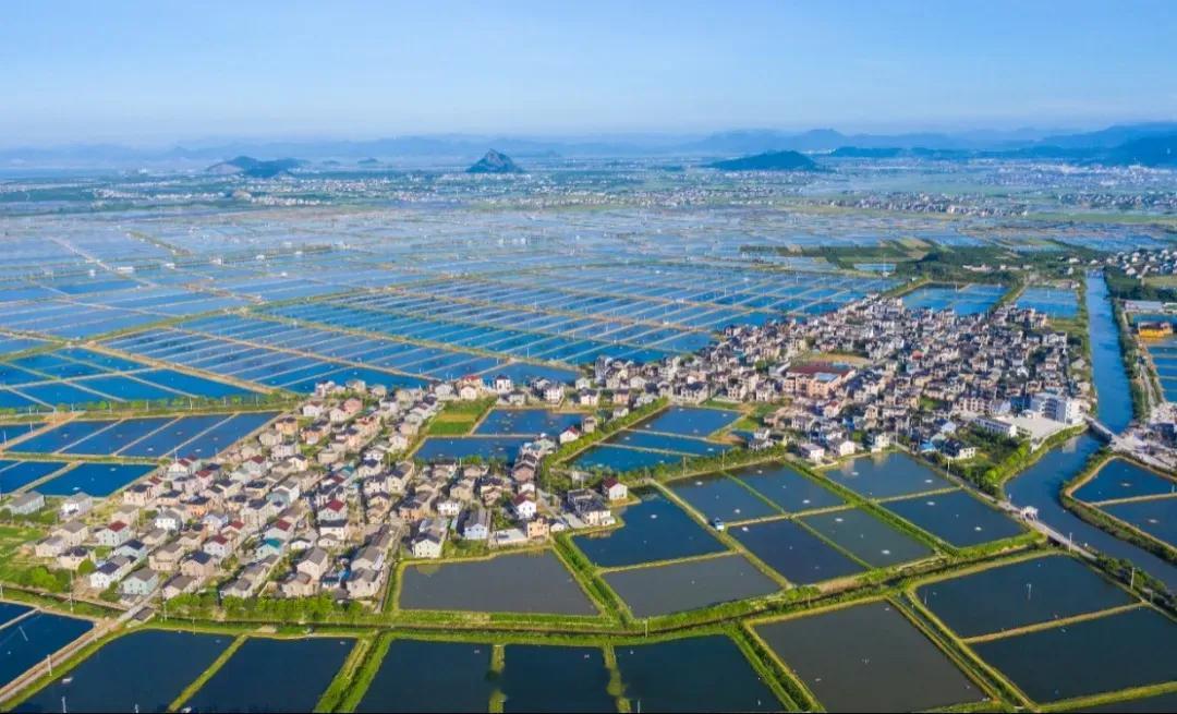 【靠这只“蛏”，宁波宁海长街镇入选国家级创建名单 】记者今天从市农业农村局获悉，