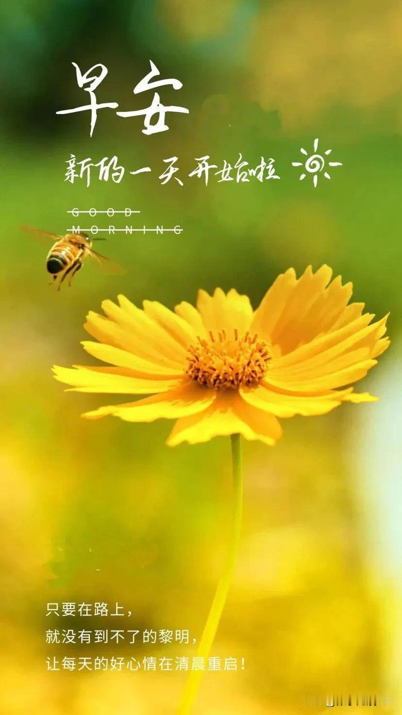 #夏日生活打卡季#
心情不好的时候，轻轻对自己说：生活就是这样，休息一下，别忘了