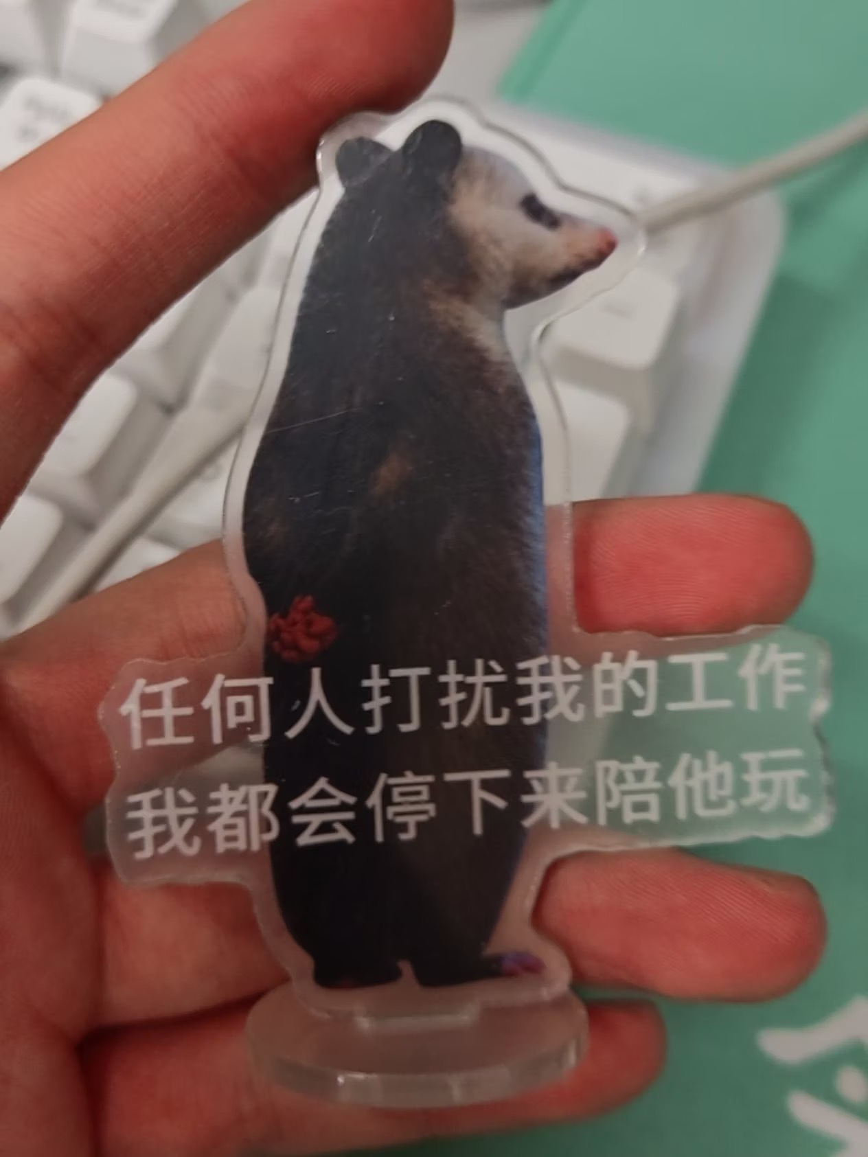 任何人打扰我的工作我都会停下来陪他玩 ​​​